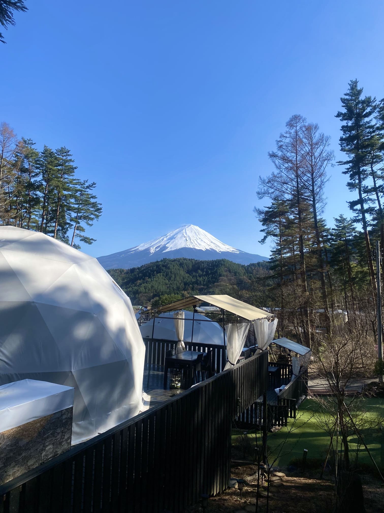 目の前に広がる雄大な富士山